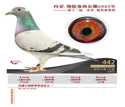 內(nèi)蒙古翔悅決賽442名