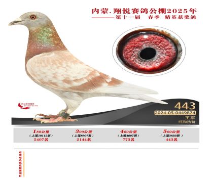 內(nèi)蒙古翔悅決賽443名