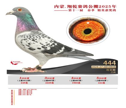 內(nèi)蒙古翔悅決賽444名