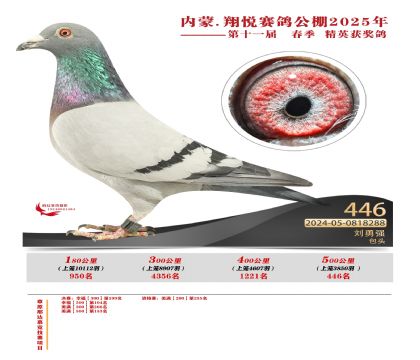 內(nèi)蒙古翔悅決賽446名