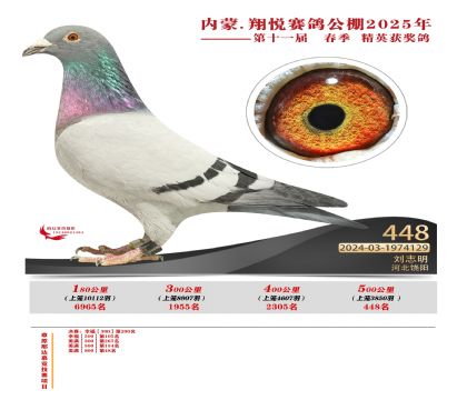內(nèi)蒙古翔悅決賽448名