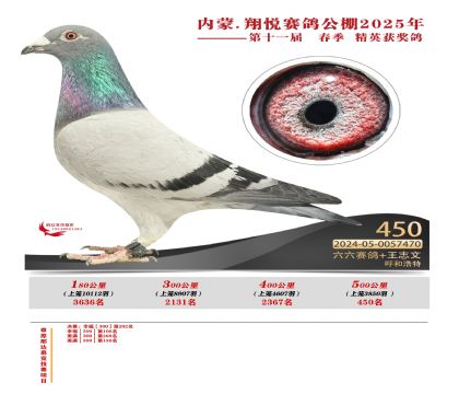 內(nèi)蒙古翔悅決賽450名