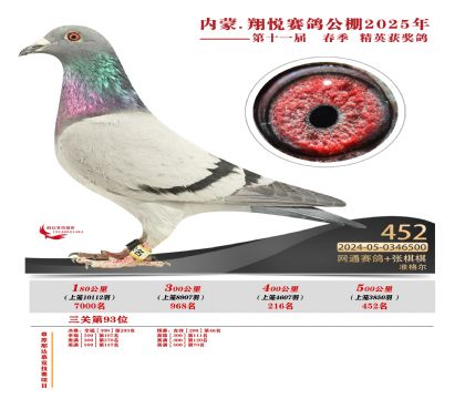內(nèi)蒙古翔悅決賽452名
