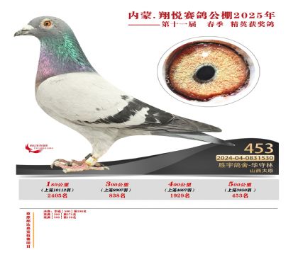 內(nèi)蒙古翔悅決賽453名