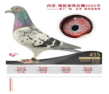 內(nèi)蒙古翔悅決賽455名
