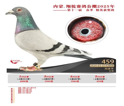 內(nèi)蒙古翔悅決賽459名