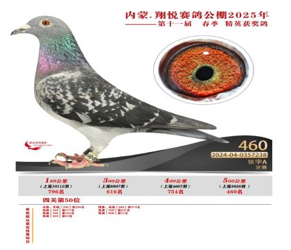 內(nèi)蒙古翔悅決賽460名