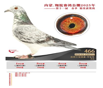 內(nèi)蒙古翔悅決賽466名