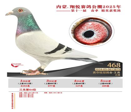 內(nèi)蒙古翔悅決賽468名