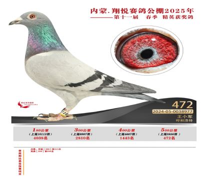內(nèi)蒙古翔悅決賽472名