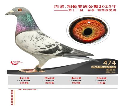 內(nèi)蒙古翔悅決賽474名