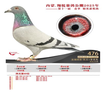 內(nèi)蒙古翔悅決賽476名