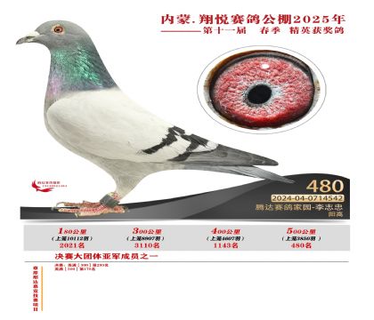 內(nèi)蒙古翔悅決賽480名