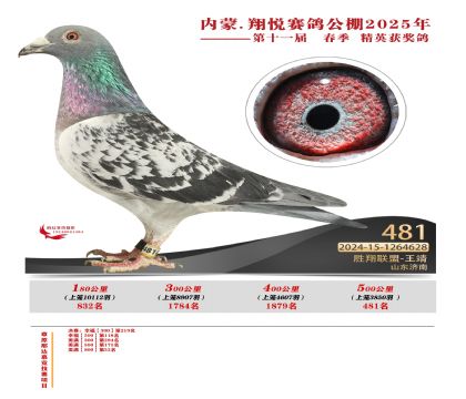 內(nèi)蒙古翔悅決賽481名