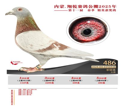 內(nèi)蒙古翔悅決賽486名
