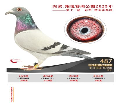 內(nèi)蒙古翔悅決賽487名