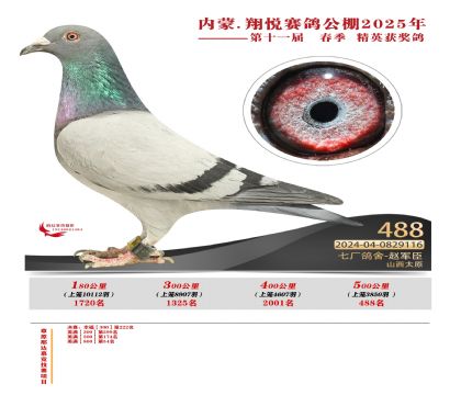 內(nèi)蒙古翔悅決賽488名