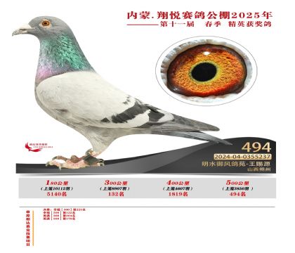 內(nèi)蒙古翔悅決賽494名