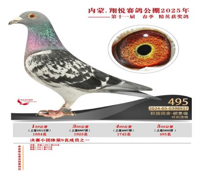 內(nèi)蒙古翔悅決賽495名