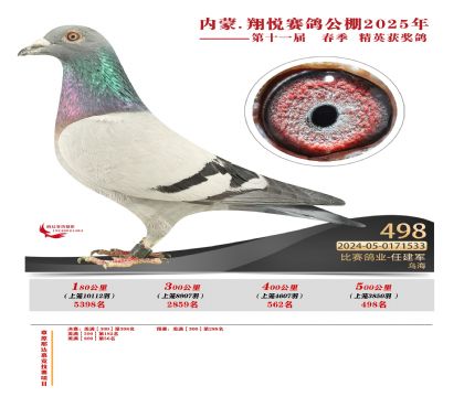 內(nèi)蒙古翔悅決賽498名