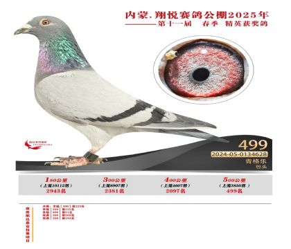 內(nèi)蒙古翔悅決賽499名