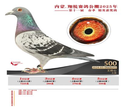內(nèi)蒙古翔悅決賽500名