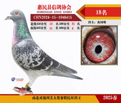 南北對決特比四關鴿王18名