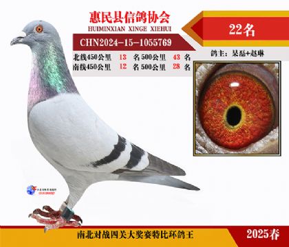 南北對決特比四關鴿王22名