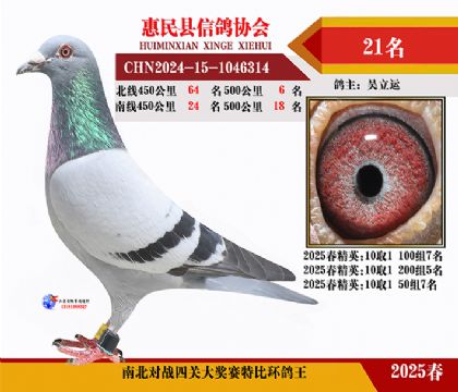 南北對決特比四關鴿王21名
