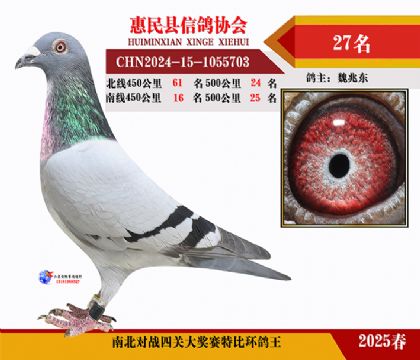 南北對決特比四關鴿王27名