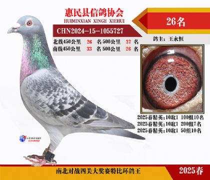 南北對決特比四關鴿王26名