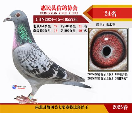 南北對決特比四關鴿王24名