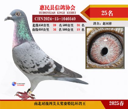 南北對決特比四關鴿王25名