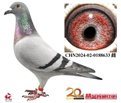 r(sh)911ȫֱֵŮ