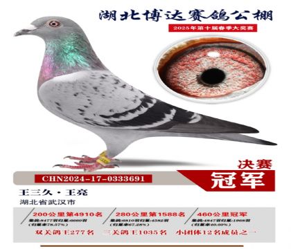 博達春棚決賽冠軍