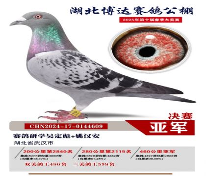 博達春棚決賽亞軍