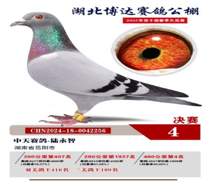 博達春棚決賽4名