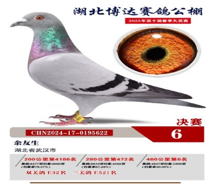 博達春棚決賽6名
