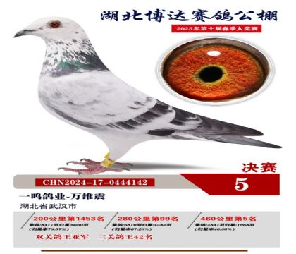 博達春棚決賽5名