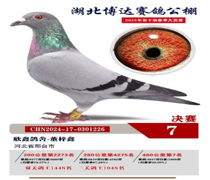 博達春棚決賽7名