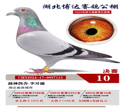 博達春棚決賽10名