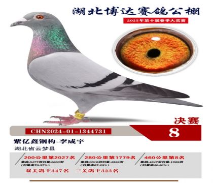 博達春棚決賽8名