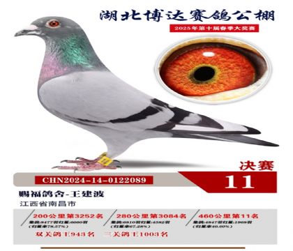 博達春棚決賽11名