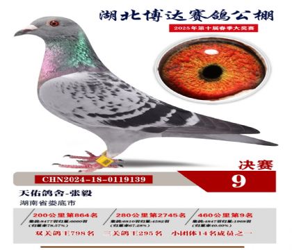 博達春棚決賽9名