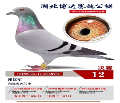 博達春棚決賽12名