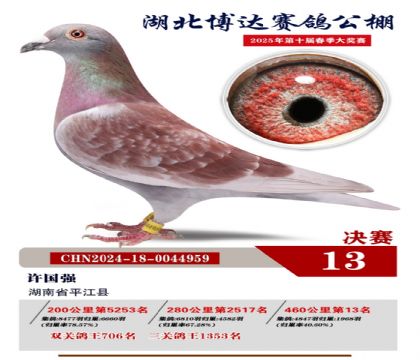博達春棚決賽13名