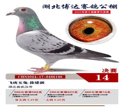 博達春棚決賽14名