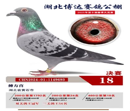 博達春棚決賽18名