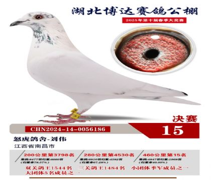 博達春棚決賽15名