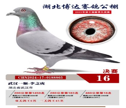 博達春棚決賽16名